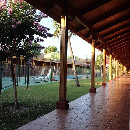 Hotel Punakora Aconcagua San Felipe Extérieur photo